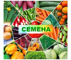 СЕМЕНА продажа откроется 1 декабря 2025г