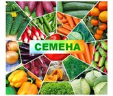 СЕМЕНА продажа откроется 1 декабря 2025г