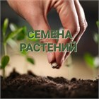 СЕМЕНА ПРОФЕССИОНАЛЬНЫЕ В РОЗНИЦУ