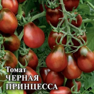 Томат Чёрная принцесса 2615