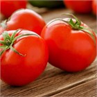 Кострома f1 2609