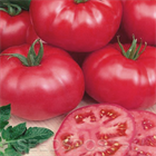 Томат Турмалин f1 2613