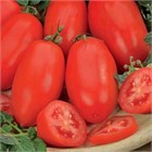 Томат Челнок 2614