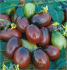 Томат чёрный мавр 2728