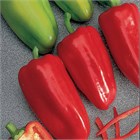 Перец Император F1 сладкий 2741