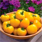 Перец мини Янтарный сладкий 2299