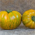 Зебра полосатая Биф 2393