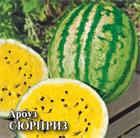 Арбуз Сюрприз 2640