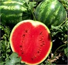 Арбуз Кримсон вондер 2643